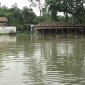 বাড়ছে পানি, ভয়াবহ বন্যার শঙ্কায় গাইবান্ধা