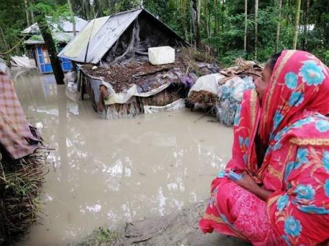 ছবি : সংবাদ সংক্রান্ত