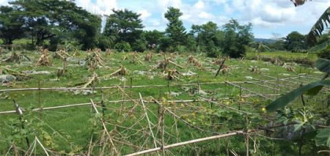 ছবি : সংবাদ সংক্রান্ত