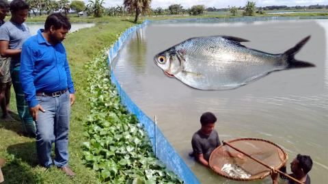 ছবি : সংবাদ সংক্রান্ত