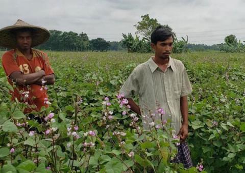 ছবি : সংবাদ সংক্রান্ত