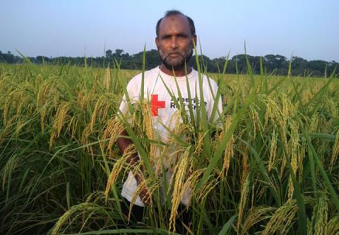 ছবি : সংবাদ সংক্রান্ত