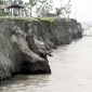 ব্রহ্মপুত্র নদের ভাঙনে গাইবান্ধার ৪টি গ্রাম নদীগর্ভে বিলীন