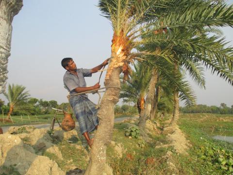 ছবি : সংবাদ সংক্রান্ত