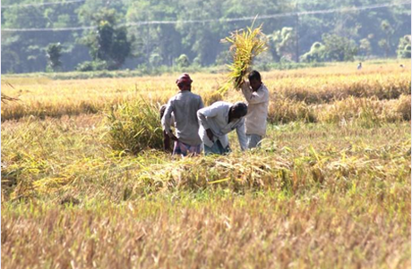 ছবি : সংবাদ সংক্রান্ত