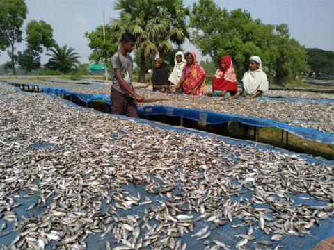 ছবি : সংবাদ সংক্রান্ত