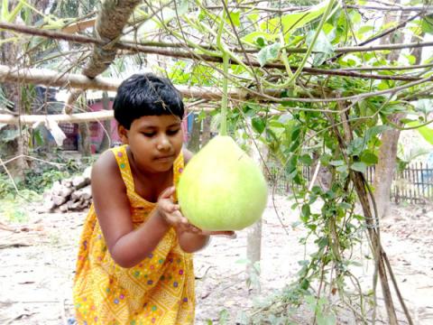 ছবি : সংবাদ সংক্রান্ত