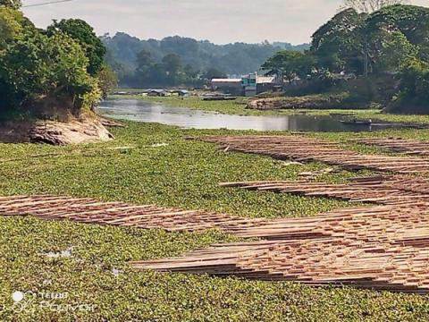 ছবি : সংবাদ সংক্রান্ত