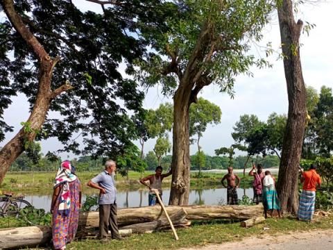 ছবি : সংবাদ সংক্রান্ত