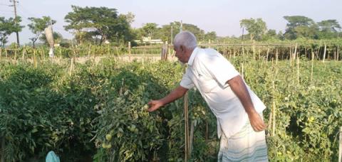 ছবি : সংবাদ সংক্রান্ত