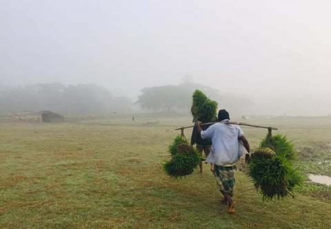 ছবি : সংবাদ সংক্রান্ত