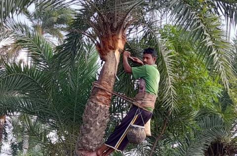 ছবি : সংবাদ সংক্রান্ত