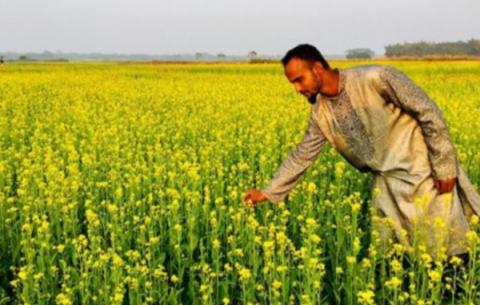 ছবি : সংবাদ সংক্রান্ত