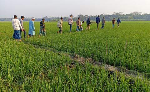 ছবি : সংবাদ সংক্রান্ত