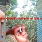 কুষ্টিয়াতে মুদি দোকানের অন্তরালে চলছে মাদক ব্যবসা