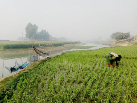 ছবি : সংবাদ সংক্রান্ত