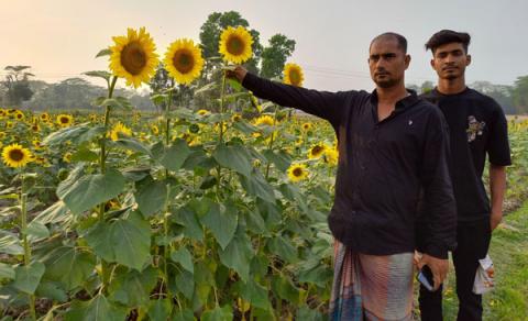 ছবি : সংবাদ সংক্রান্ত