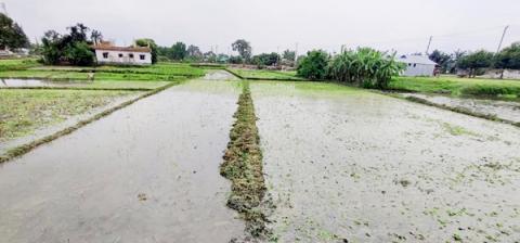 ছবি : সংবাদ সংক্রান্ত