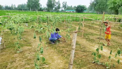 ছবি : সংবাদ সংক্রান্ত