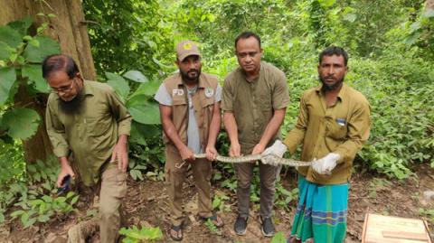 ছবি : সংবাদ সংক্রান্ত