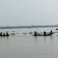 ঝালকাঠির সুগন্ধা-বিষখালীতে বেপরোয়া মৌসুমি জেলেরা, অবাধে চলছে মা ইলিশ নিধন