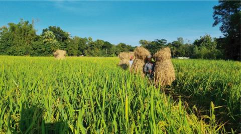 ছবি : সংবাদ সংক্রান্ত