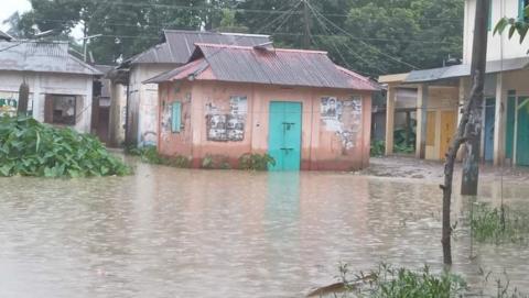 ছবি : সংবাদ সংক্রান্ত