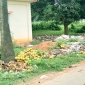 ঘোড়াঘাটে কৃষক লীগ নেতার তালকান্ড