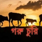 রাউজানে একরাতে দুই কৃষকের ৫টি গরু চুরি
