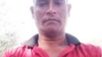 ভিমরুলের কামড়ে প্রান গেলো সাবেক সেনা সদস্যের