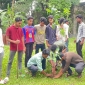 রাঙামাটিতে বিশ্ব পরিবেশ দিবস উপলক্ষে পৌর ছাত্রদলের বৃক্ষরোপণ