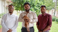 ফটিকছড়িতে মায়া হরিণ সাবক উদ্ধার ; চট্টগ্রাম চিড়িয়াখানায় হস্তান্তর