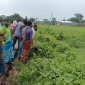ঈশ্বরগঞ্জে ট্রেনের ধাক্কায় বৃদ্ধের মৃত্যু