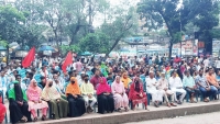 অন্তর্বর্তী সরকার গণ অভ্যুত্থানের আকাংখ্যা ধারণ করতে পারেনি : সাইফুল হক