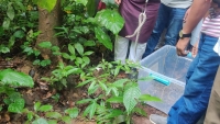 হাজারীখিল অভয়ারণ্যে অবমুক্ত করা হল ৩৩ অজগর ছানা