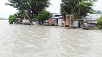 ঝালকাঠিতে নিম্নচাপের কারণে নদীর পানি বৃদ্ধি, প্লাবিত নিম্নাঞ্চল