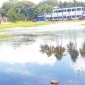 আত্রাই উপজেলা পরিষদ মাঠে সামান্য বৃষ্টিতেই জলাবদ্ধতা