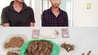 পার্বতীপুরে যৌথবাহিনীর অভিযানে গাঁজাসহ পিতা ও পুত্র গ্রেফতার
