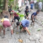 পঞ্চাশ বছর ধরে ভোগাচ্ছে একটি রাস্তা : কচুগাছ রোপণ করে শিক্ষার্থীদের প্রতিবাদ