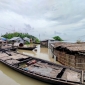ফারাক্কার বিরূপ প্রভাবে কুষ্টিয়ার ৫০ হাজার মানুষ পানিবন্দি