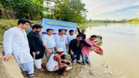 ফেনী নদীতে মাছের পোনা অবমুক্তকরণ