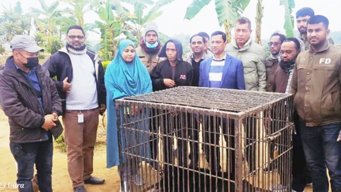 খাগড়াছড়িতে বনবিভাগের অভিযানে বন্যপ্রাণি উদ্ধার
