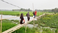 ঈশ্বরগঞ্জে ব্রিজ না থাকায় নড়বড়ে সাঁকোই ছয় গ্রামের মানুষের ভরসা