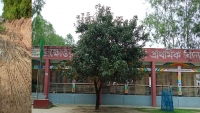 পার্বতীপুরে ব্রক্ষোত্তর সোনাপুকুর সরকারি প্রাথমিক বিদ্যালয়ের রাস্তার বেহাল অবস্থা