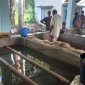 হালদায় চড়া দামে রেণু বিক্রি
