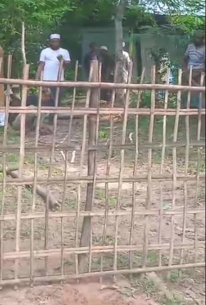 টেন্ডারবিহীন ৭ লাখ টাকার সরকারি গাছ লুটের নিউজ করায় সাংবাদিকের ঘর দখল