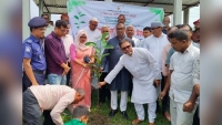 ঈশ্বরগঞ্জে বৃক্ষরোপণ কর্মসূচির উদ্বোধন