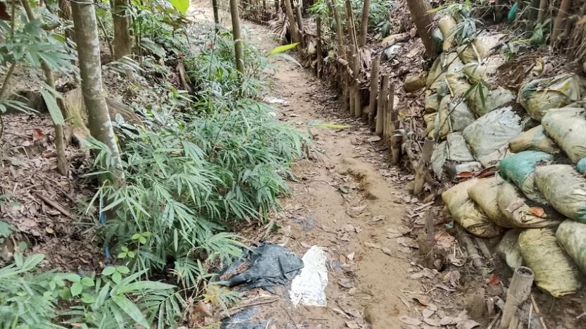 বেতবুনিয়া সাপনালা পাড়ায় বিদ্যুৎ খুঁটি আছে সংযোগ নেই