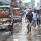 প্লাবিত নিম্নাঞ্চল; ক্ষতির মুখে আমনের বীজতলা