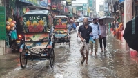 প্লাবিত নিম্নাঞ্চল; ক্ষতির মুখে আমনের বীজতলা